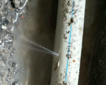 莱州卫生间测漏水多少钱