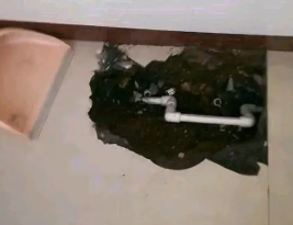 莱州卫生间测漏水多少钱